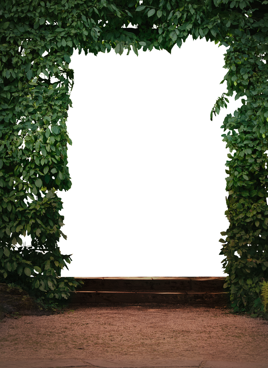 南湖公園二期最新動態(tài)，綠色明珠的未來展望