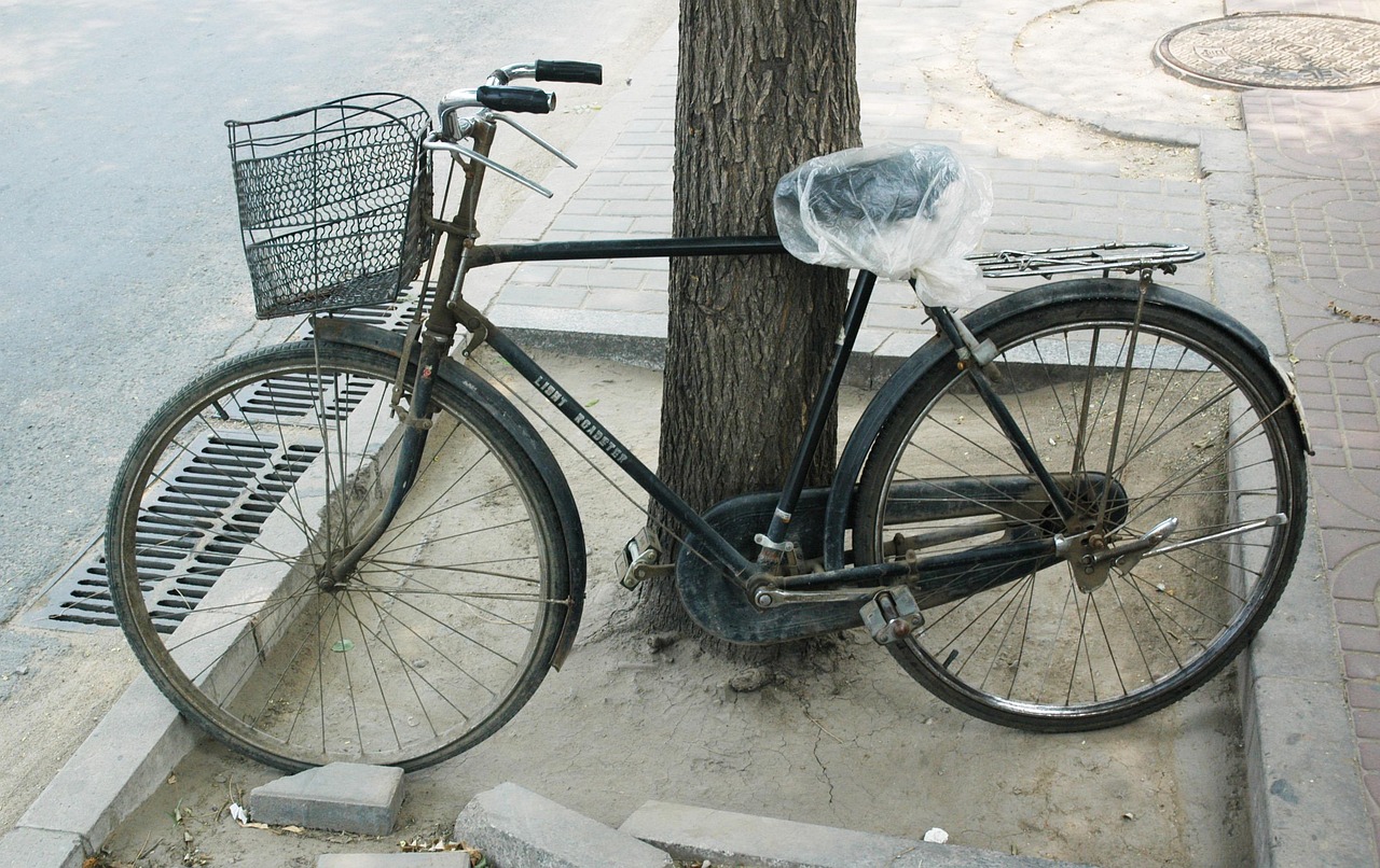 云商之家最新動態(tài)，張健引領(lǐng)變革之路