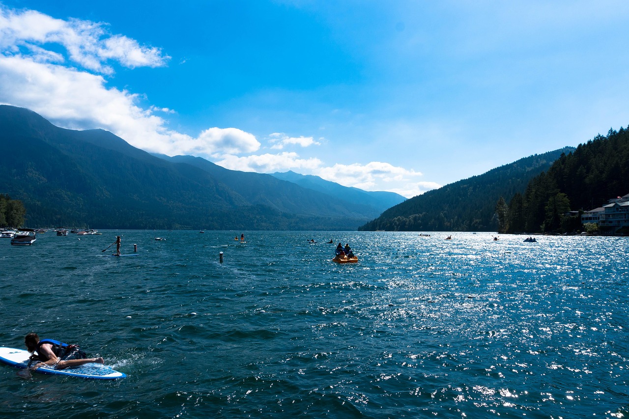 廣東省李峰最新消息概覽，最新動(dòng)態(tài)與進(jìn)展。