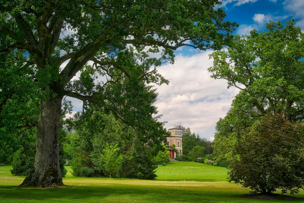 愛濤尚書云邸最新動態(tài)揭秘，城市繁華生活新篇章