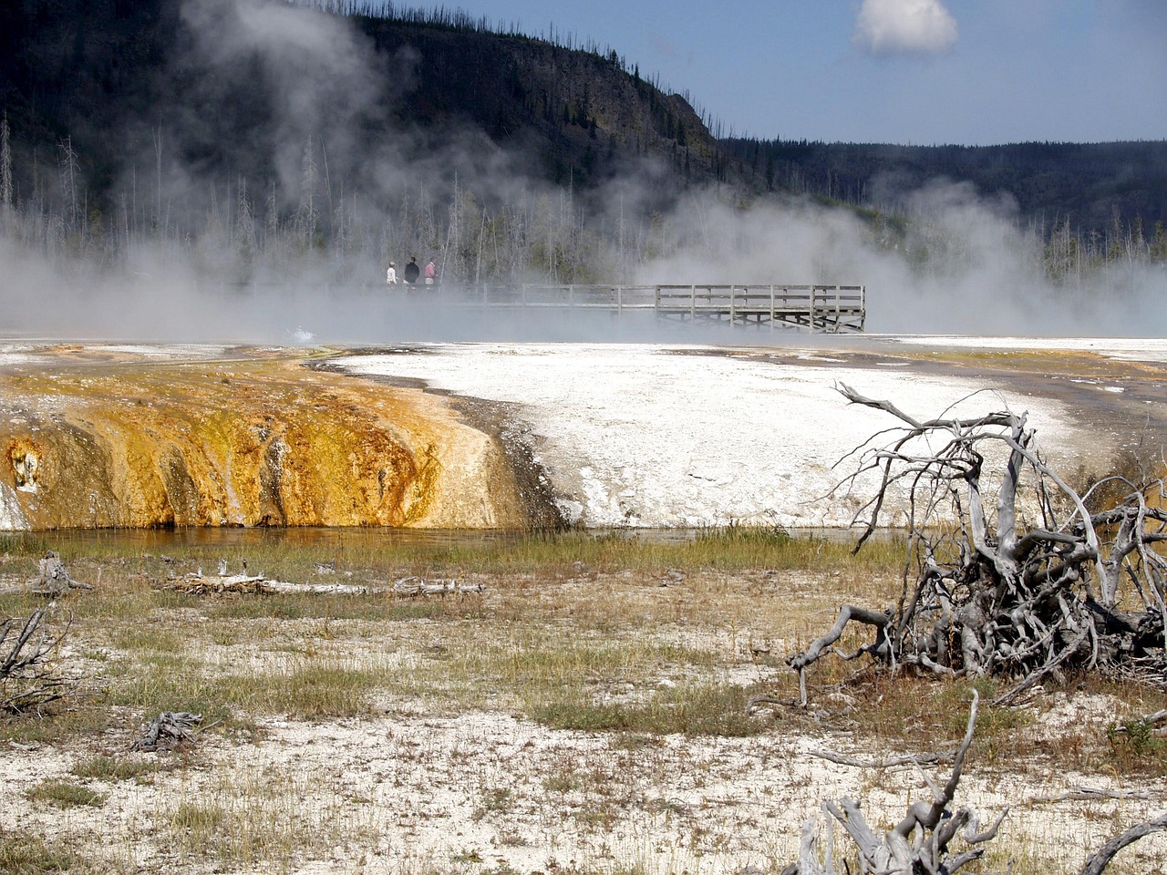 宏澤中央公園最新動態(tài)速遞，最新消息一覽