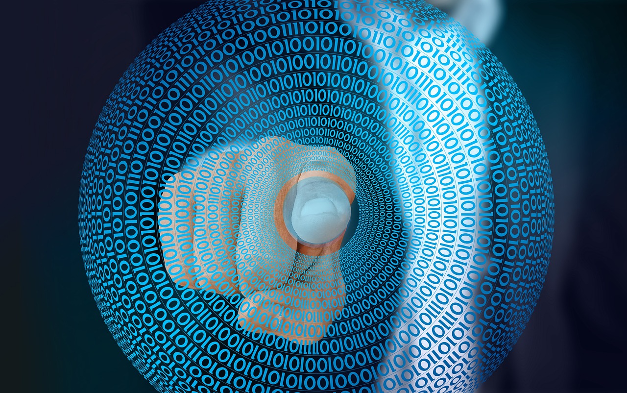 合肥直轄市最新動態(tài)，未來城市發(fā)展與展望探索