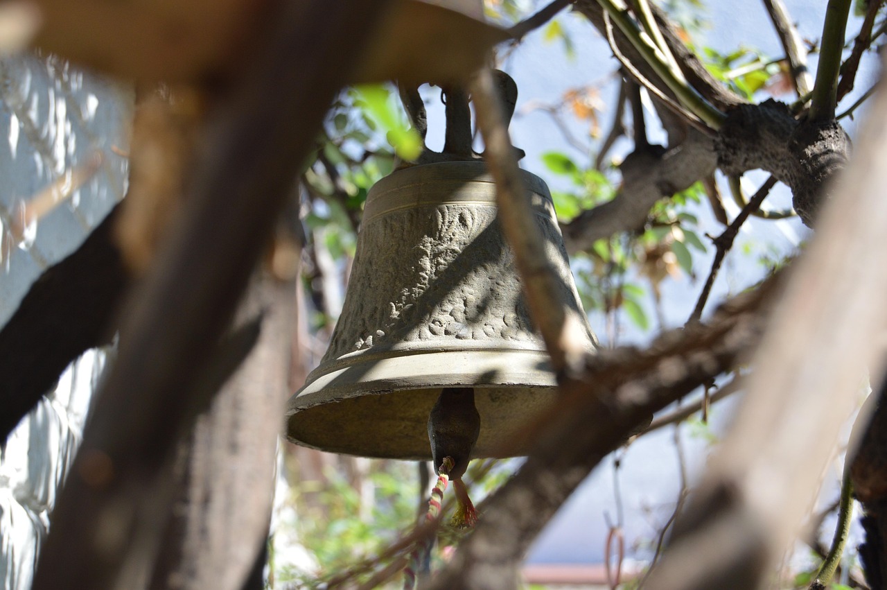 孝昌二手房最新信息概覽，最新房源動(dòng)態(tài)與市場(chǎng)行情解析