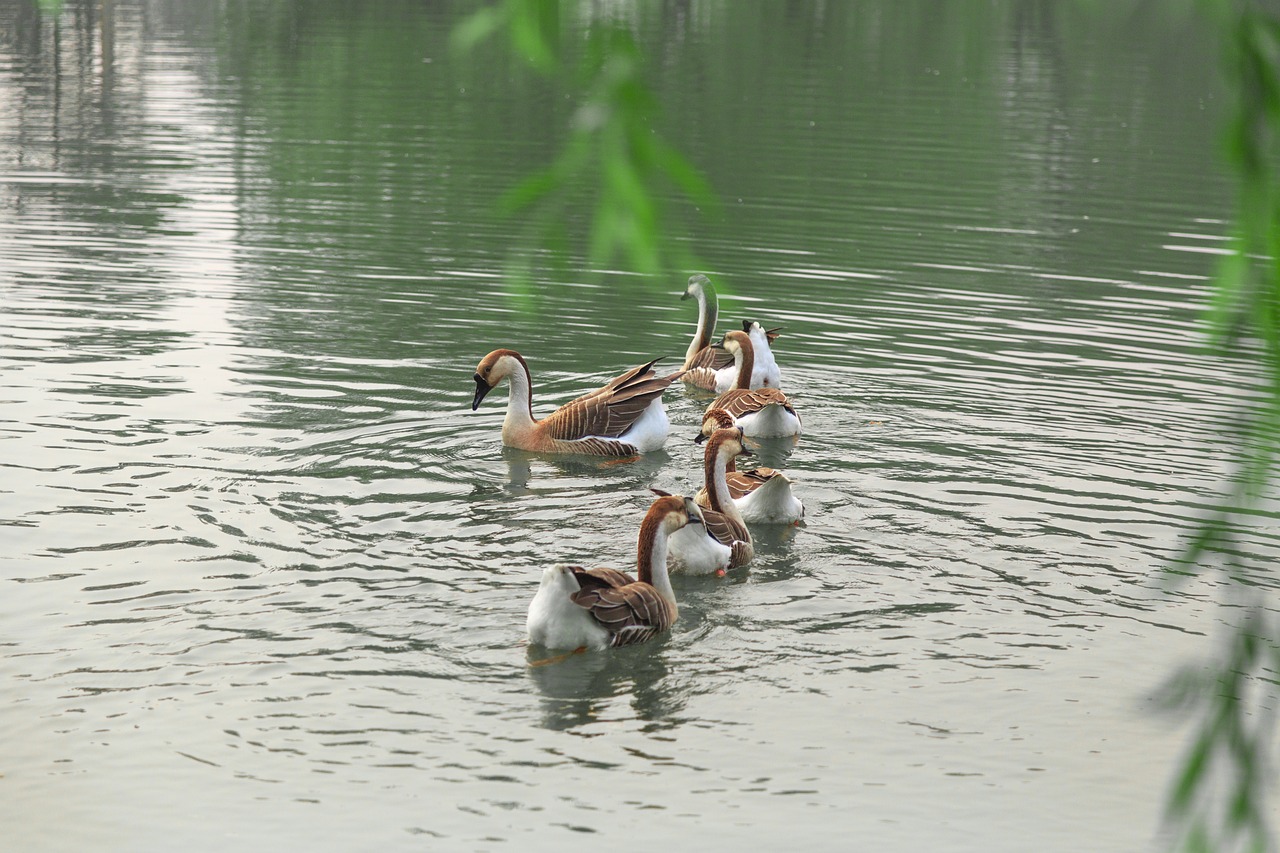澳門科技大學(xué)最新消息綜述，發(fā)展動態(tài)與亮點(diǎn)展示