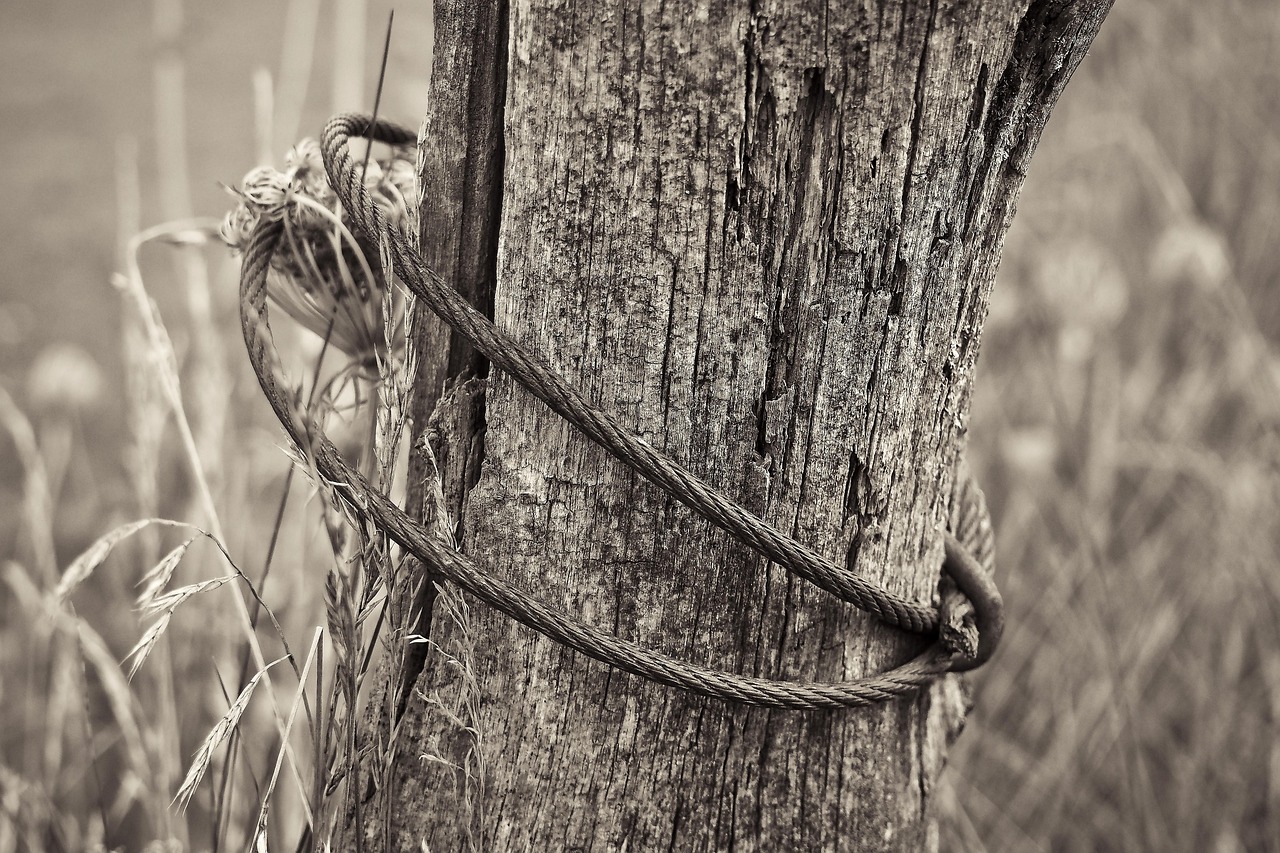 祁陽撤縣劃市最新動(dòng)態(tài)，轉(zhuǎn)型發(fā)展開啟嶄新篇章