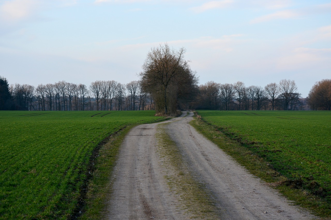 農(nóng)村土地平整最新政策解讀與概述