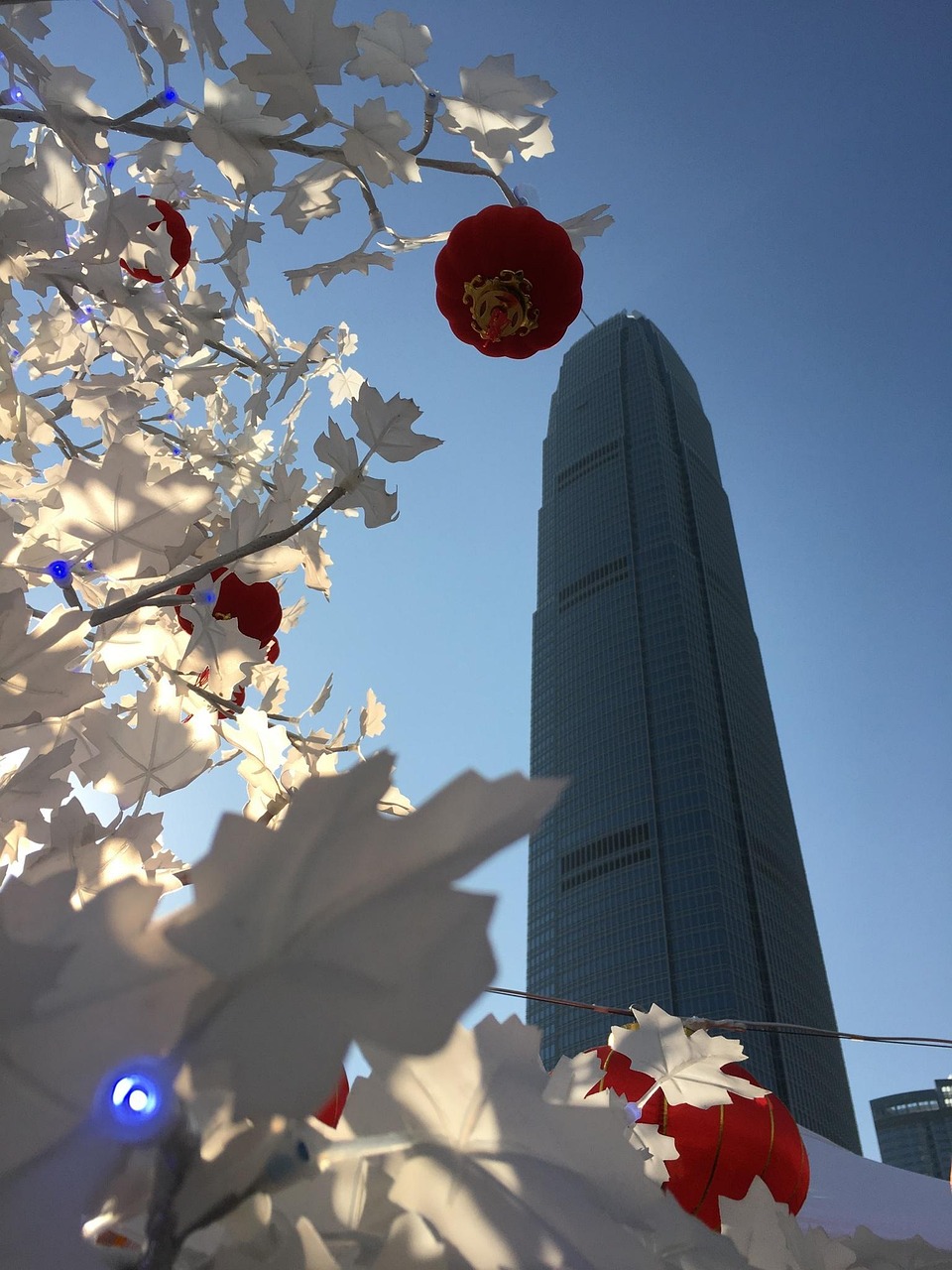 漫漫長(zhǎng)夜新版本砍樹(shù)探索，全新體驗(yàn)之旅