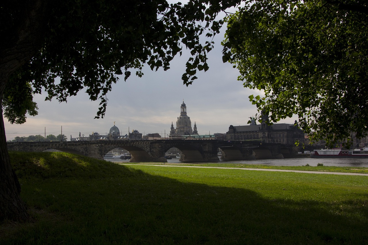 成華圣燈公園最新進(jìn)展，城市綠色心臟蓬勃生長(zhǎng)