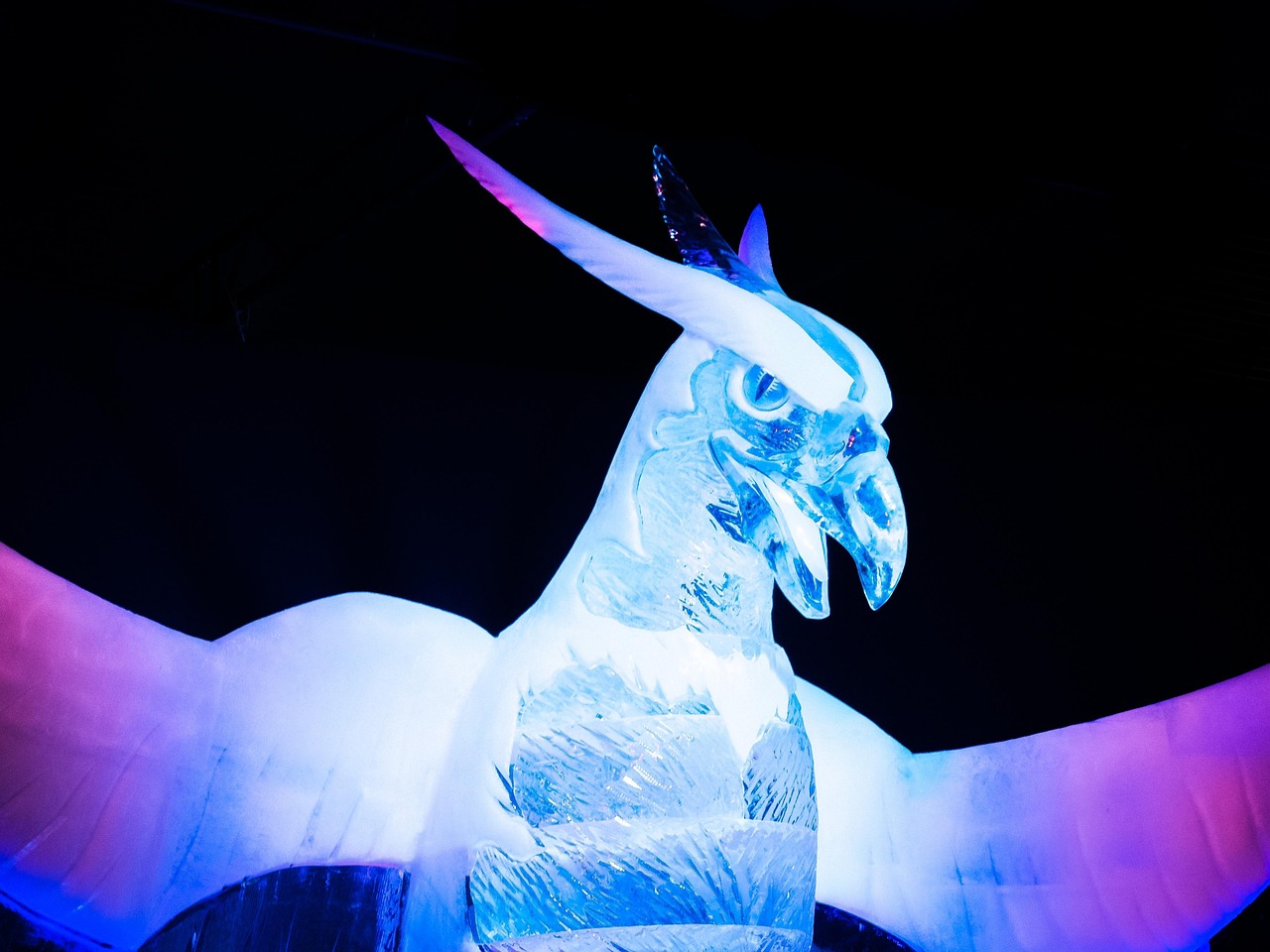 內(nèi)蒙古王東偉最新動(dòng)態(tài)，揭開神秘面紗，展現(xiàn)新時(shí)代風(fēng)采