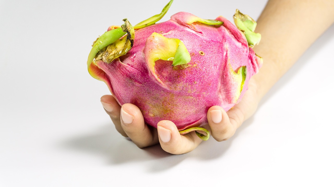 YY主播小白龍最新動態(tài)，探索成長與變化的軌跡