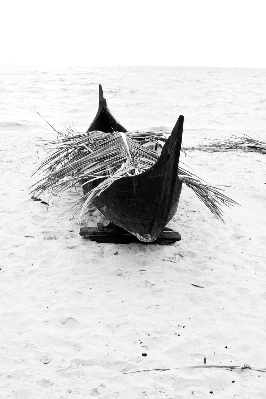 臺風(fēng)最新動態(tài)，2017年第3號臺風(fēng)分析與預(yù)測