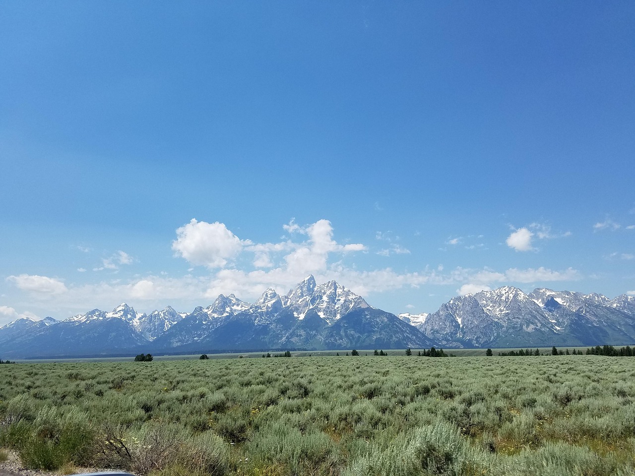 崀山犬木塘庫(kù)最新動(dòng)態(tài)，揭開(kāi)神秘面紗下的壯麗景象揭秘