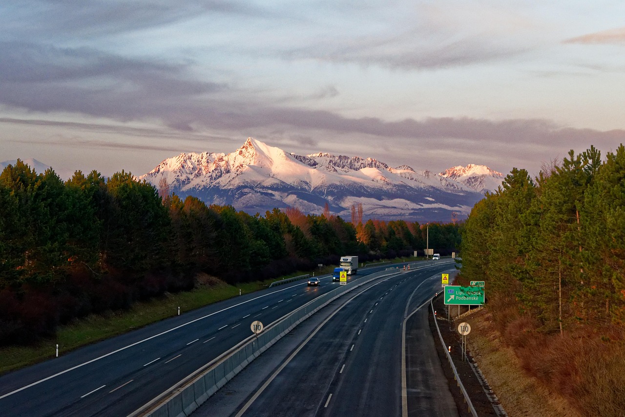 沈陽(yáng)地鐵10號(hào)線最新線路圖概覽，最新線路圖一覽無(wú)余