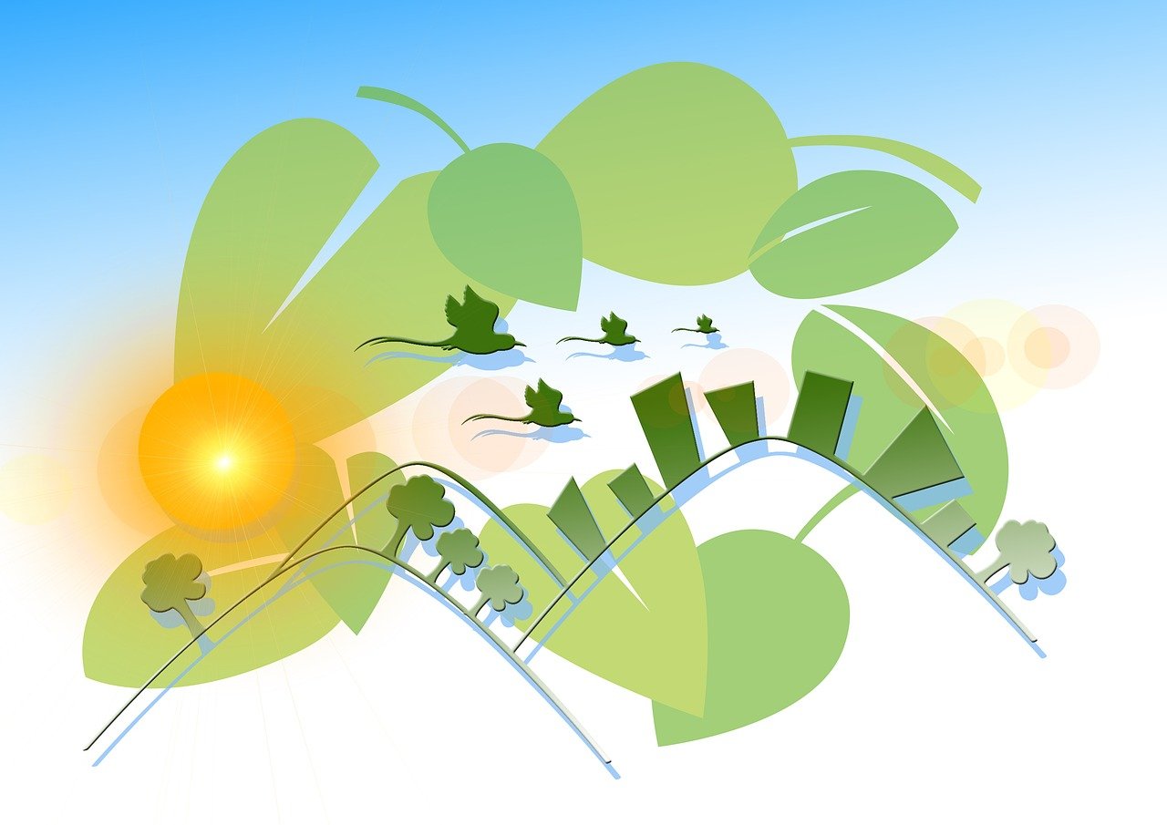 ST長(zhǎng)油新三板動(dòng)態(tài)，最新消息與深度解析