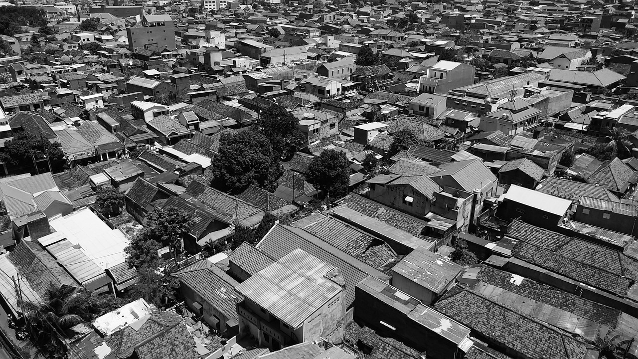 醉花蔭下 第3頁(yè)