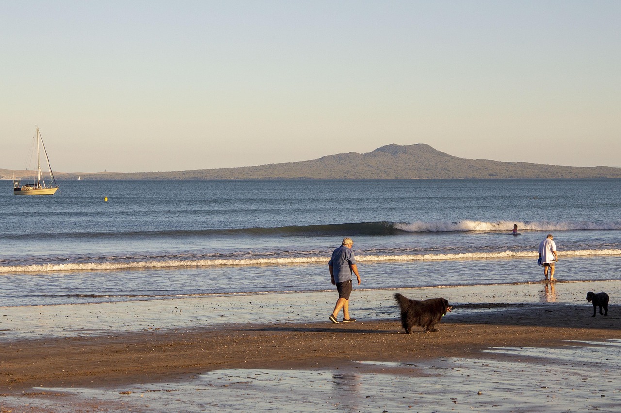 山西退休職工養(yǎng)老金調(diào)整最新動(dòng)態(tài)，改革進(jìn)展、未來(lái)展望與調(diào)整消息速遞