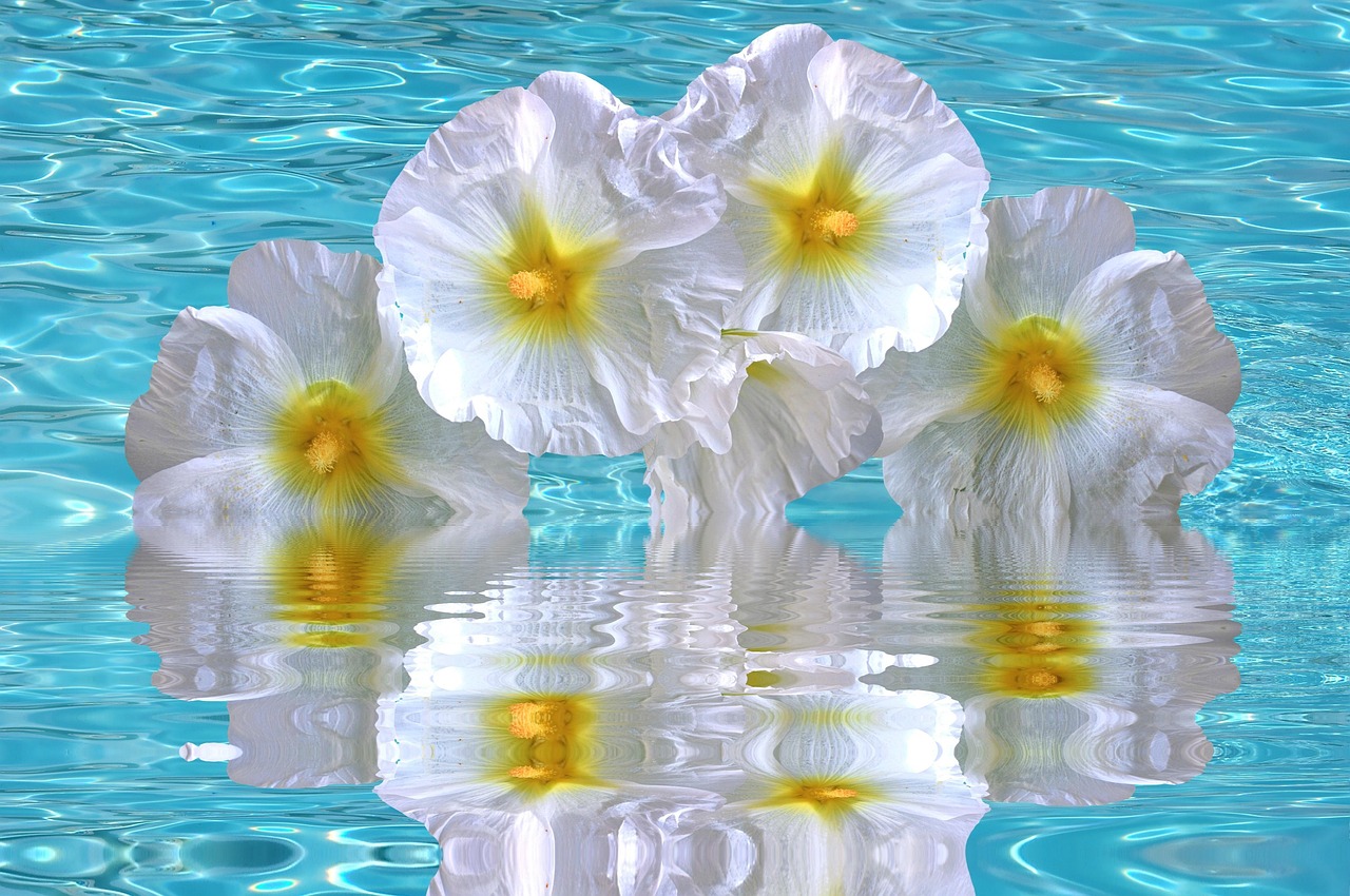 加勒比海域動(dòng)態(tài)更新，海盜活動(dòng)頻繁，警惕性需提升（最新報(bào)告 06月15日）