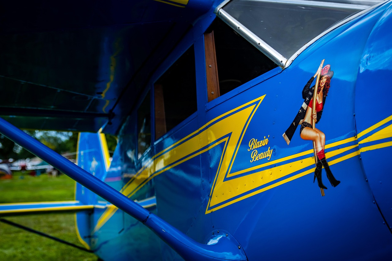 革新觀影體驗，最新視頻app帶你飛！