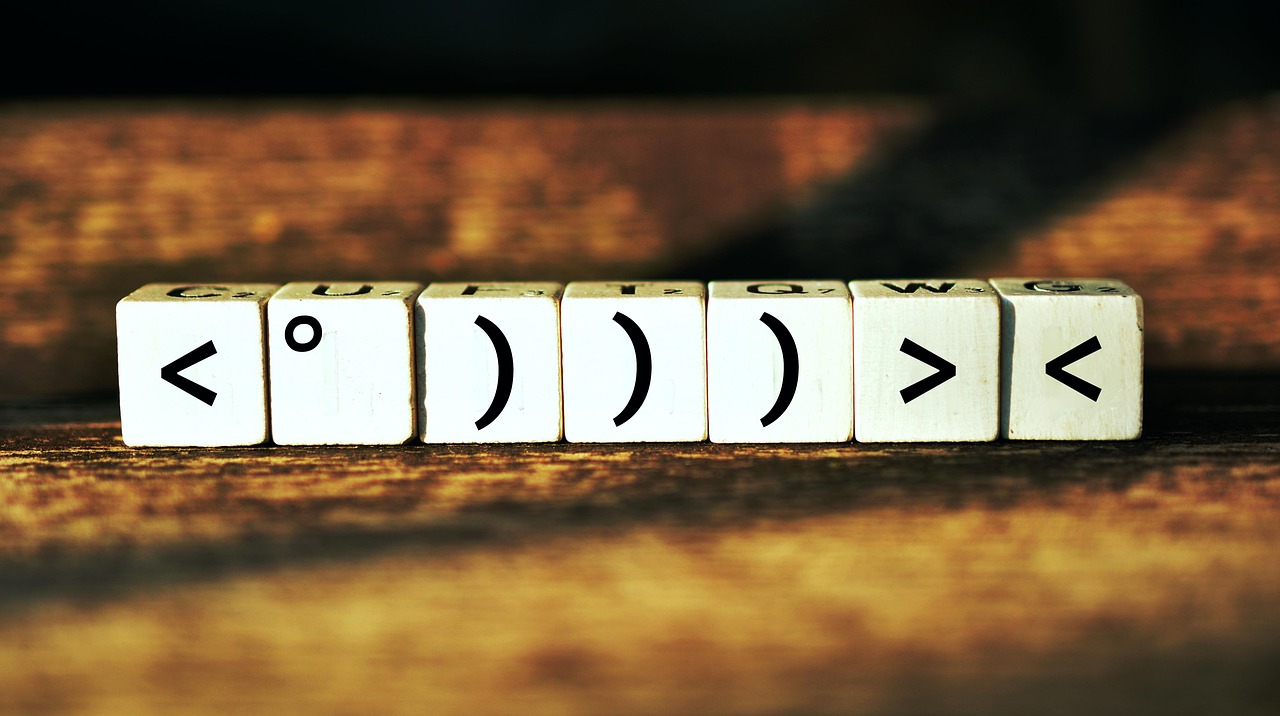 揭秘武警最新肩章，榮譽(yù)與職責(zé)的象征標(biāo)志