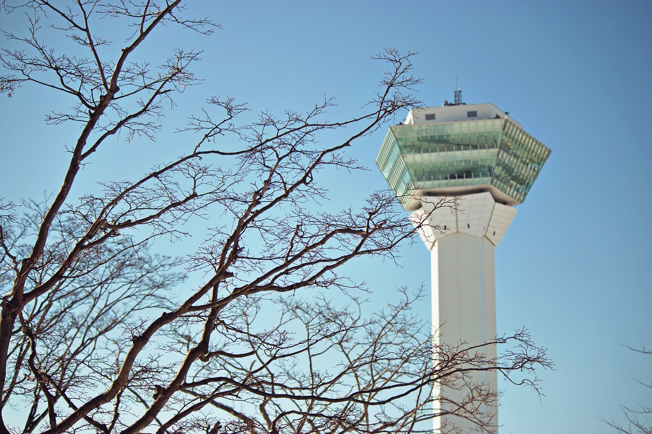 決斗之城最新動(dòng)態(tài)，新時(shí)代卡牌競(jìng)技盛宴揭秘