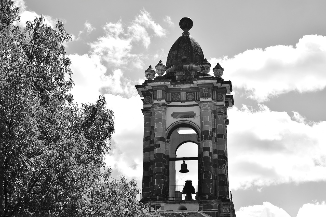 尿素最新報價與市場動態(tài)分析概覽